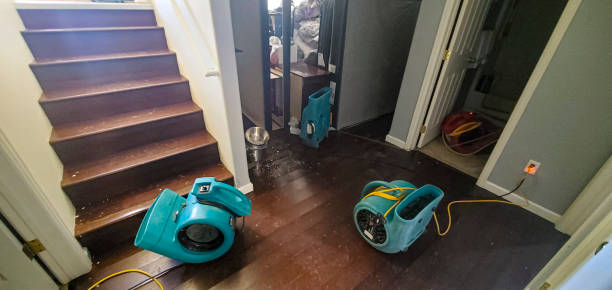 Best Water damage contractors near me  in Edinburg, VA