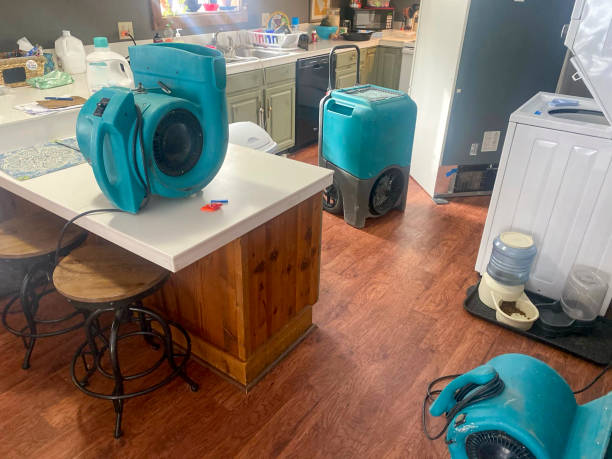 Best 24-hour water damage restoration  in Edinburg, VA