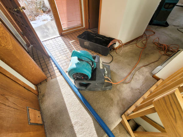 Best Fire Damage Restoration  in Edinburg, VA
