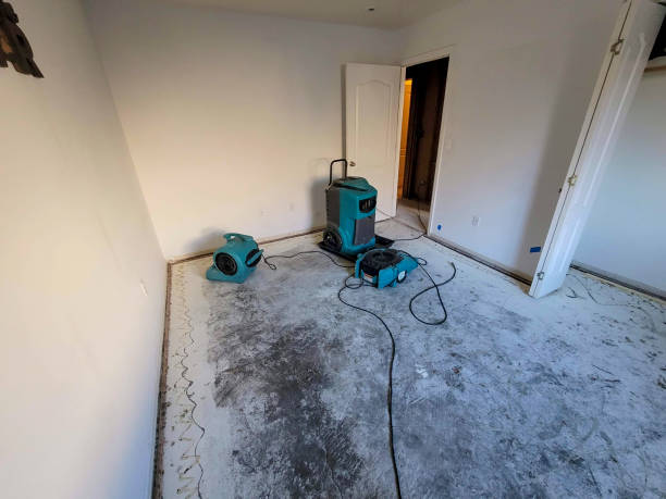 Best 24/7 water damage repair  in Edinburg, VA