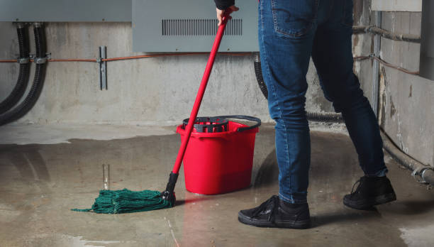 Best Commercial water damage restoration  in Edinburg, VA