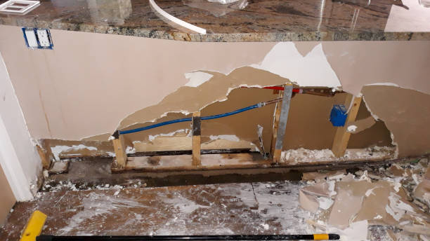 Best Water damage cleanup near me  in Edinburg, VA