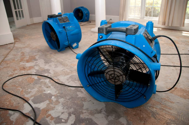 24/7 water damage repair in VA