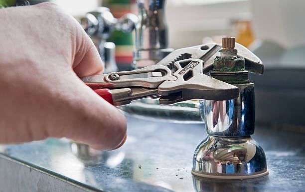 Best Mold removal after water damage  in Edinburg, VA