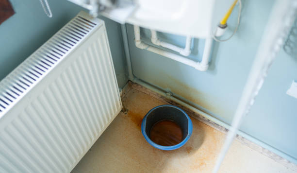 Best Sewage cleanup and water damage restoration  in Edinburg, VA