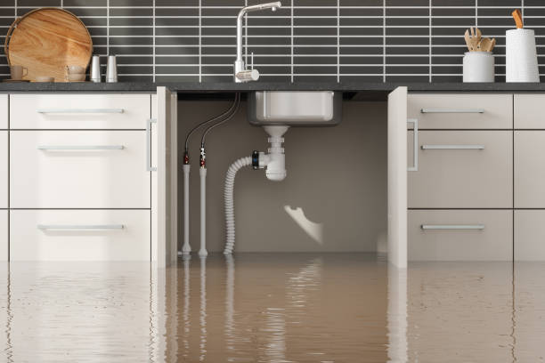 Best Water damage repair service  in Edinburg, VA