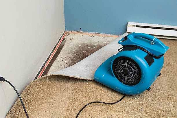 Best 24/7 water damage repair  in Edinburg, VA